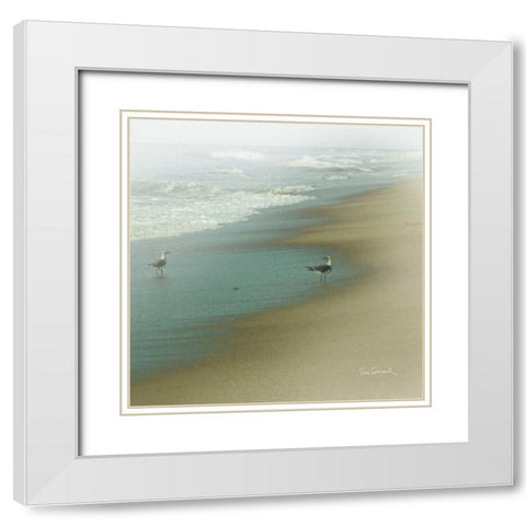Seabirds White Modern Wood Framed Art Print with Double Matting by Schlabach, Sue