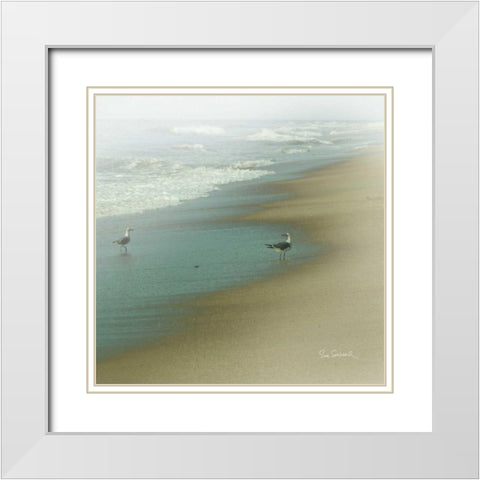 Seabirds White Modern Wood Framed Art Print with Double Matting by Schlabach, Sue