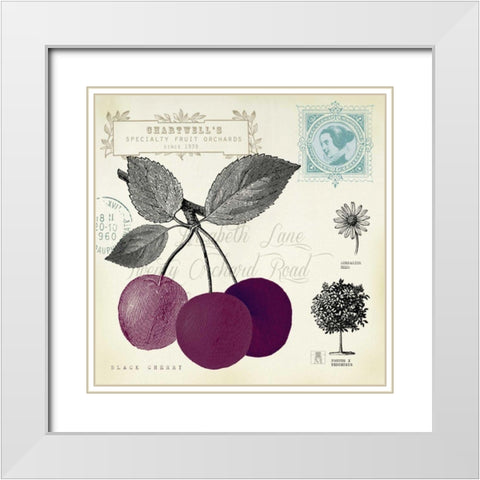Cherry Notes White Modern Wood Framed Art Print with Double Matting by Studio Mousseau