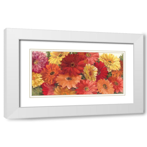 Bountiful Gerberas Crop White Modern Wood Framed Art Print with Double Matting by Rowan, Carol