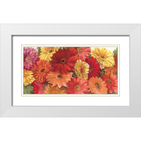Bountiful Gerberas Crop White Modern Wood Framed Art Print with Double Matting by Rowan, Carol