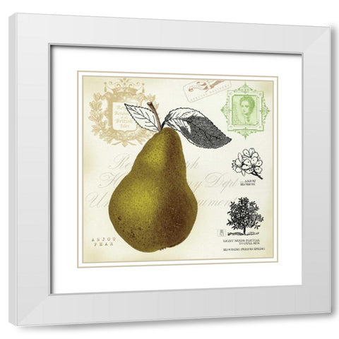 Pear Notes White Modern Wood Framed Art Print with Double Matting by Studio Mousseau