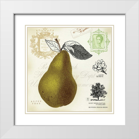 Pear Notes White Modern Wood Framed Art Print with Double Matting by Studio Mousseau