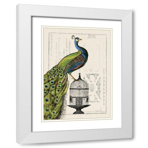 Peacock Birdcage I White Modern Wood Framed Art Print with Double Matting by Wild Apple Portfolio