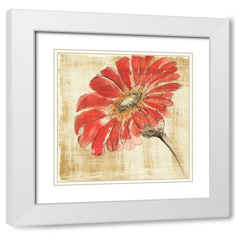 Tangerine and Grey II White Modern Wood Framed Art Print with Double Matting by Paschke, Chris