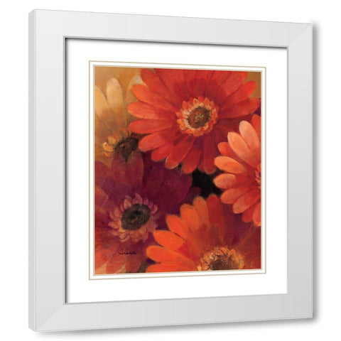 Garden of Gerberas II White Modern Wood Framed Art Print with Double Matting by Hristova, Albena