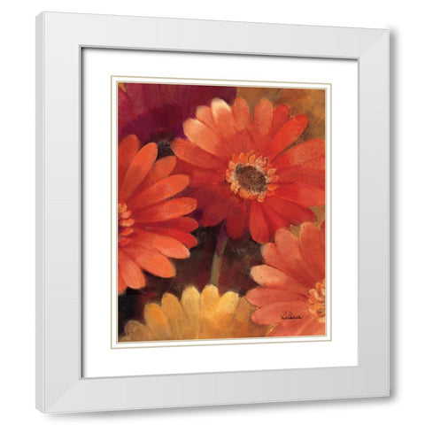 Garden of Gerberas III White Modern Wood Framed Art Print with Double Matting by Hristova, Albena