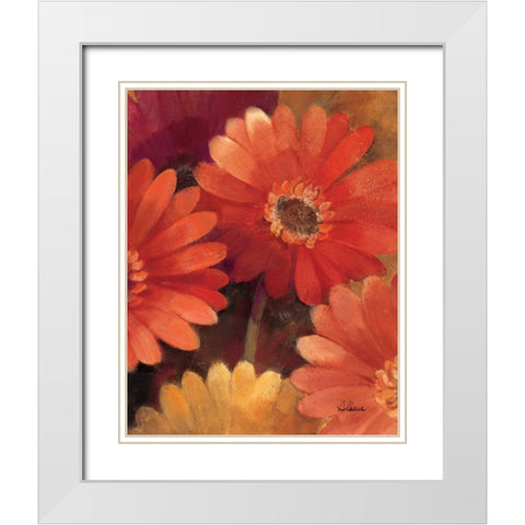 Garden of Gerberas III White Modern Wood Framed Art Print with Double Matting by Hristova, Albena