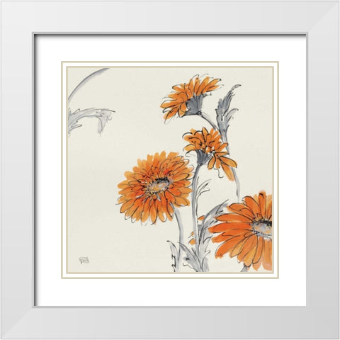 Orange Gerbera I White Modern Wood Framed Art Print with Double Matting by Paschke, Chris