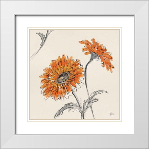 Orange Gerbera II White Modern Wood Framed Art Print with Double Matting by Paschke, Chris