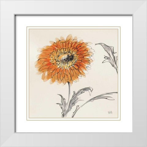 Orange Gerbera III White Modern Wood Framed Art Print with Double Matting by Paschke, Chris