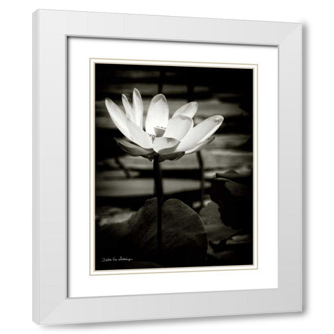 Lotus Flower VIII White Modern Wood Framed Art Print with Double Matting by Van Swearingen, Debra