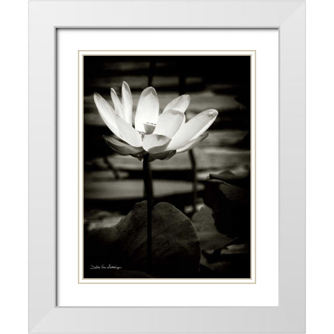 Lotus Flower VIII White Modern Wood Framed Art Print with Double Matting by Van Swearingen, Debra