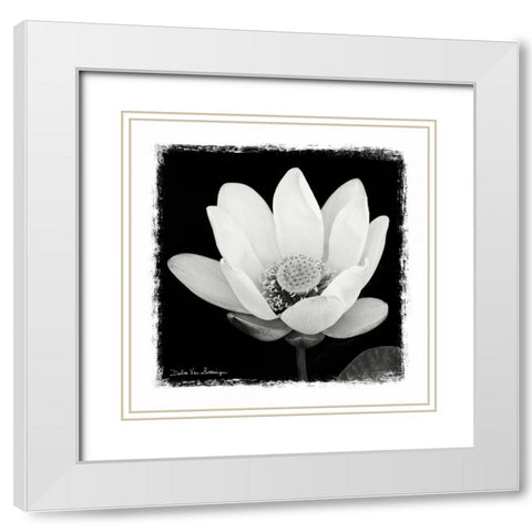 Lotus Flower I White Modern Wood Framed Art Print with Double Matting by Van Swearingen, Debra