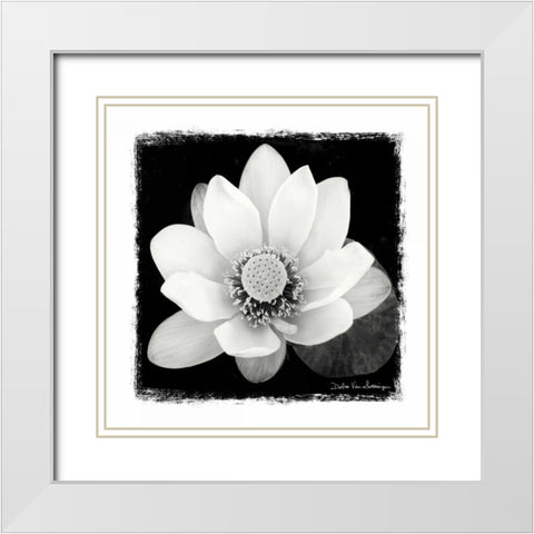 Lotus Flower II White Modern Wood Framed Art Print with Double Matting by Van Swearingen, Debra