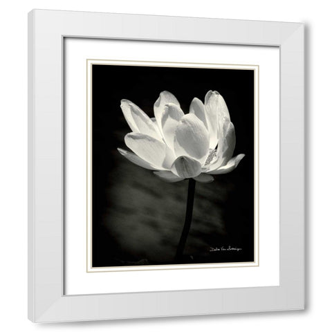 Lotus Flower X White Modern Wood Framed Art Print with Double Matting by Van Swearingen, Debra