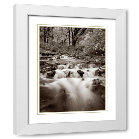 Wahkeena Creek White Modern Wood Framed Art Print with Double Matting by Audit, Lisa