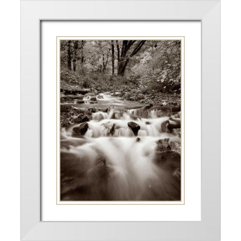 Wahkeena Creek White Modern Wood Framed Art Print with Double Matting by Audit, Lisa
