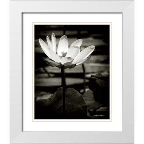 Lotus Flower VIII White Modern Wood Framed Art Print with Double Matting by Van Swearingen, Debra