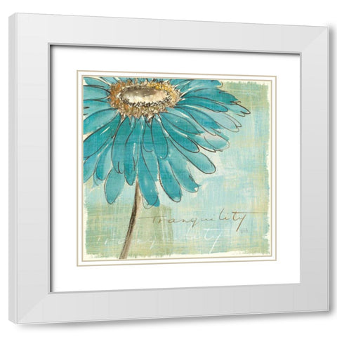 Spa Daisies III White Modern Wood Framed Art Print with Double Matting by Paschke, Chris