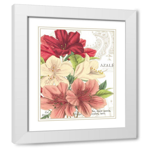 Azalee Jardin II White Modern Wood Framed Art Print with Double Matting by Wild Apple Portfolio