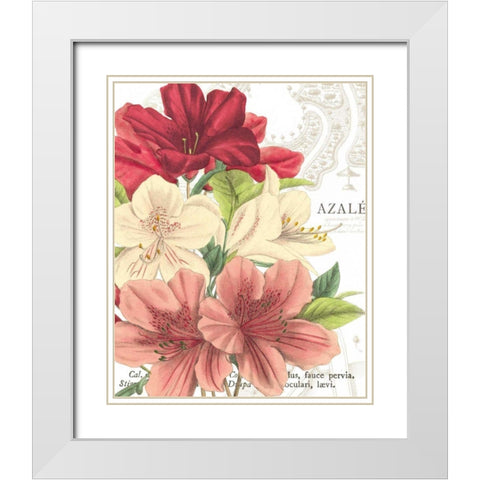Azalee Jardin II White Modern Wood Framed Art Print with Double Matting by Wild Apple Portfolio