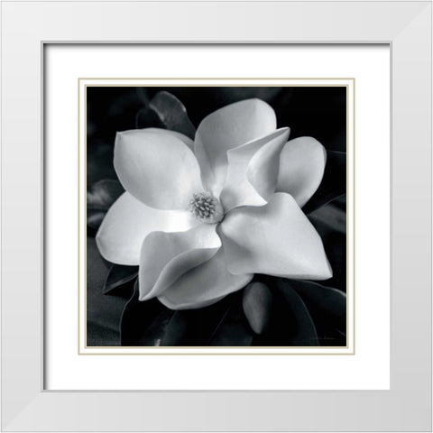 Magnolia White Modern Wood Framed Art Print with Double Matting by Van Swearingen, Debra