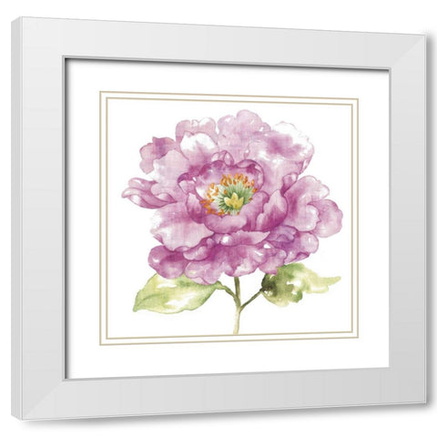 Water Flower I White Modern Wood Framed Art Print with Double Matting by Wild Apple Portfolio