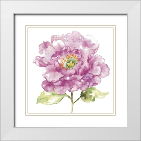 Water Flower I White Modern Wood Framed Art Print with Double Matting by Wild Apple Portfolio
