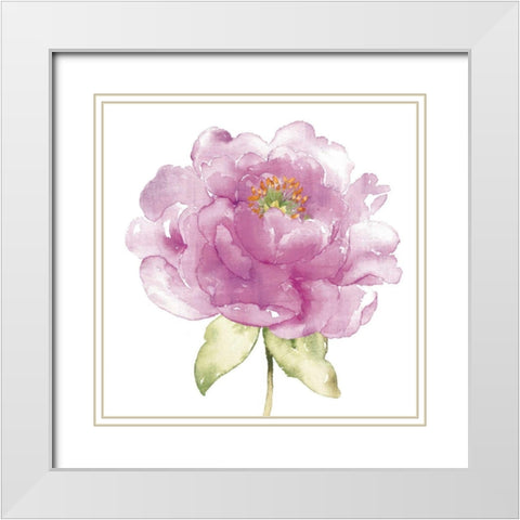 Water Flower II White Modern Wood Framed Art Print with Double Matting by Wild Apple Portfolio