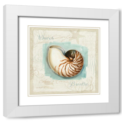 Coastal Jewels II White Modern Wood Framed Art Print with Double Matting by Audit, Lisa