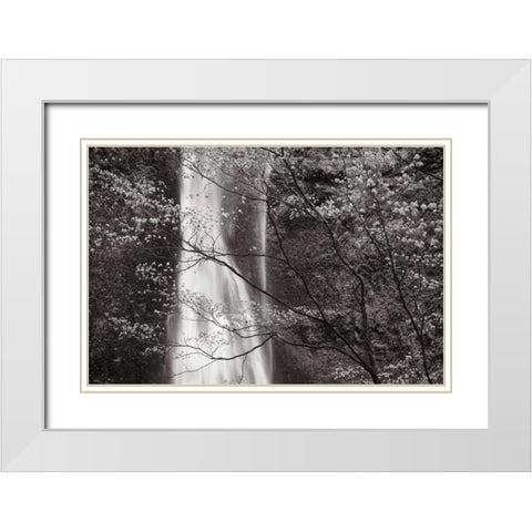 Double Falls II White Modern Wood Framed Art Print with Double Matting by Audit, Lisa