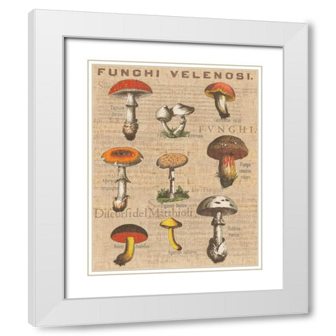 Funghi Velenosi I White Modern Wood Framed Art Print with Double Matting by Wild Apple Portfolio