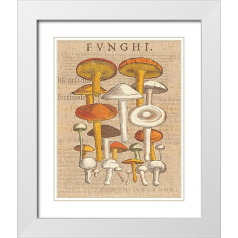Funghi Velenosi II White Modern Wood Framed Art Print with Double Matting by Wild Apple Portfolio