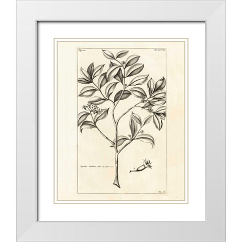 Tropical Leaf Study I White Modern Wood Framed Art Print with Double Matting by Wild Apple Portfolio