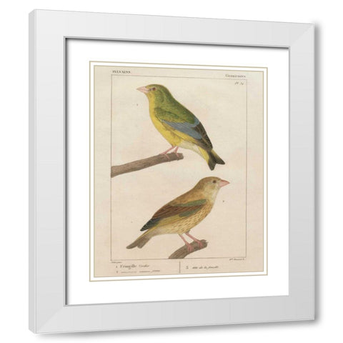 Sylvains I White Modern Wood Framed Art Print with Double Matting by Wild Apple Portfolio