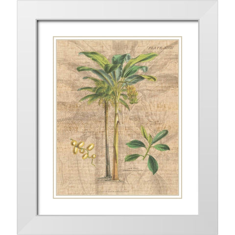 Palm Study I White Modern Wood Framed Art Print with Double Matting by Wild Apple Portfolio