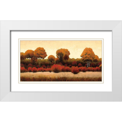 Autumn Forest III White Modern Wood Framed Art Print with Double Matting by Wiens, James