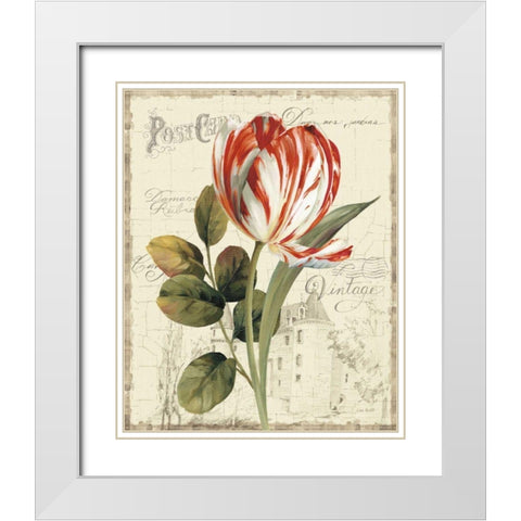 Garden View II - Red Tulip White Modern Wood Framed Art Print with Double Matting by Audit, Lisa