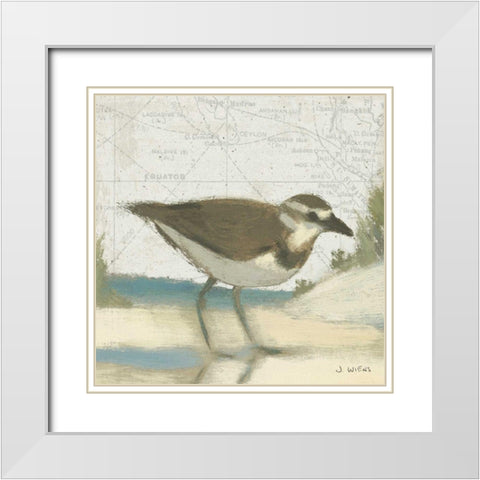 Beach Bird III White Modern Wood Framed Art Print with Double Matting by Wiens, James