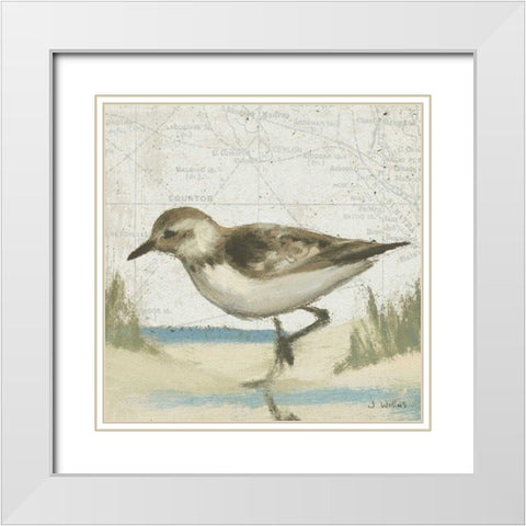 Beach Bird IV White Modern Wood Framed Art Print with Double Matting by Wiens, James