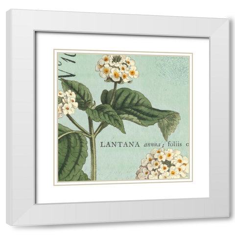 Botanique Bleu I White Modern Wood Framed Art Print with Double Matting by Wild Apple Portfolio