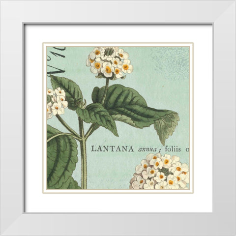 Botanique Bleu I White Modern Wood Framed Art Print with Double Matting by Wild Apple Portfolio