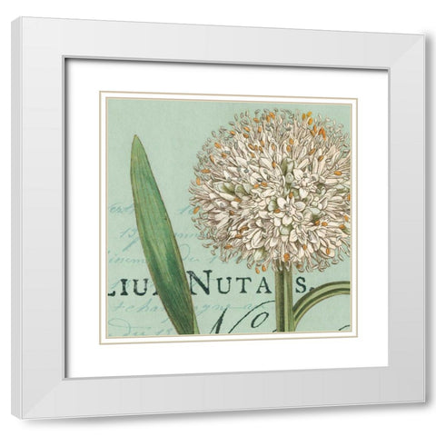 Botanique Bleu II White Modern Wood Framed Art Print with Double Matting by Wild Apple Portfolio