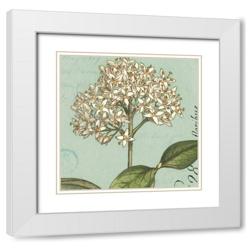Botanique Bleu IV White Modern Wood Framed Art Print with Double Matting by Wild Apple Portfolio