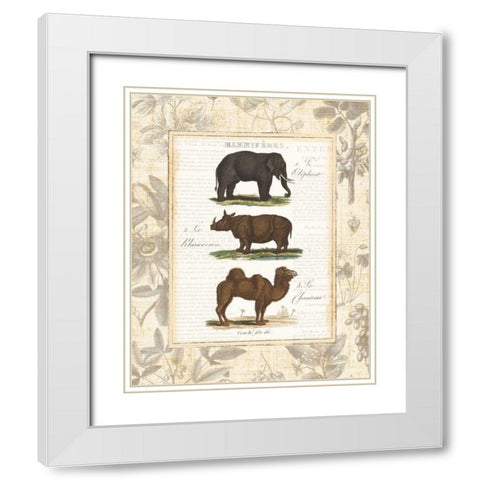 African Animals II White Modern Wood Framed Art Print with Double Matting by Wild Apple Portfolio