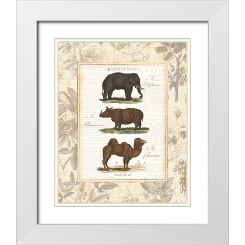 African Animals II White Modern Wood Framed Art Print with Double Matting by Wild Apple Portfolio