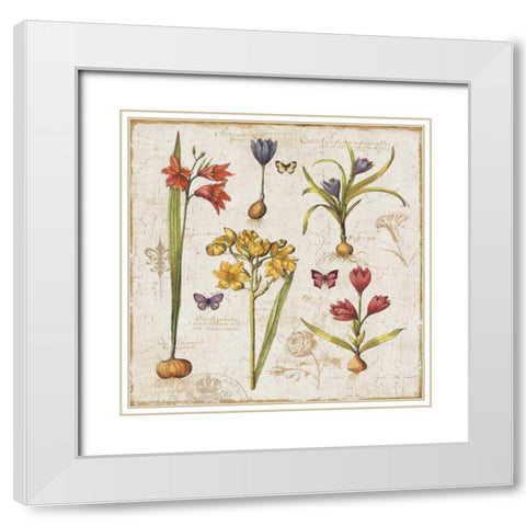 Histoire Naturelle VI White Modern Wood Framed Art Print with Double Matting by ERR, Pela