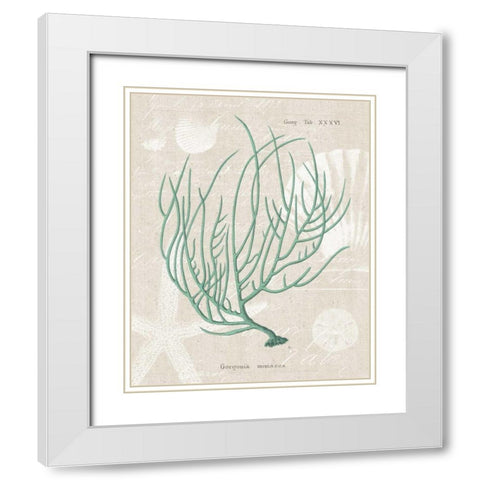 Gorgonia Miniacea on Linen Sea Foam White Modern Wood Framed Art Print with Double Matting by Wild Apple Portfolio