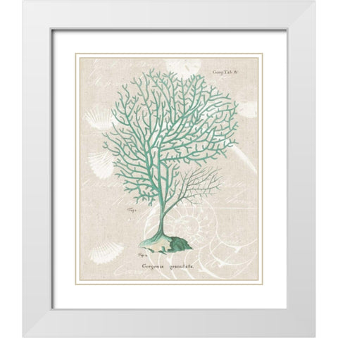 Gorgonia Granulata on Linen Sea Foam White Modern Wood Framed Art Print with Double Matting by Wild Apple Portfolio